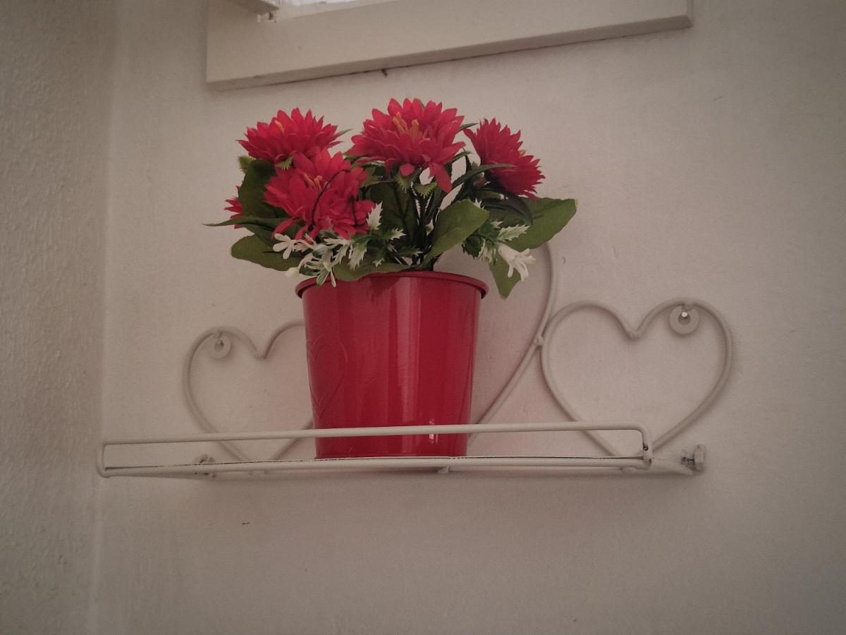 Flower 11 Apartment Bari Luaran gambar